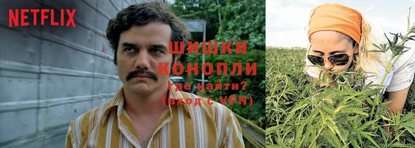 твердый Богородск