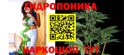СК Донецк