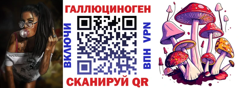 Галлюциногенные грибы Psilocybine cubensis  Надым 