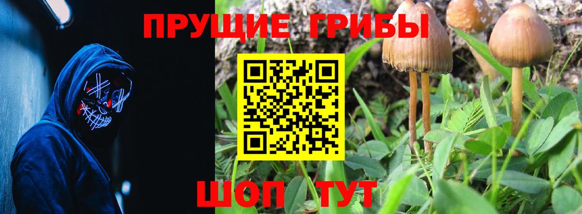 Надым  Псилоцибиновые грибы GOLDEN TEACHER  Вход с VPN 