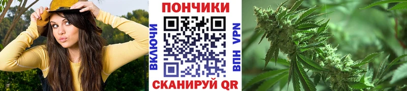 наркота  Надым  Марихуана индика 